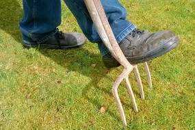 Lawn maintenance